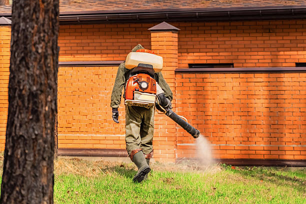 Bed Bug Clearance Verification and Documentation in Spencerville